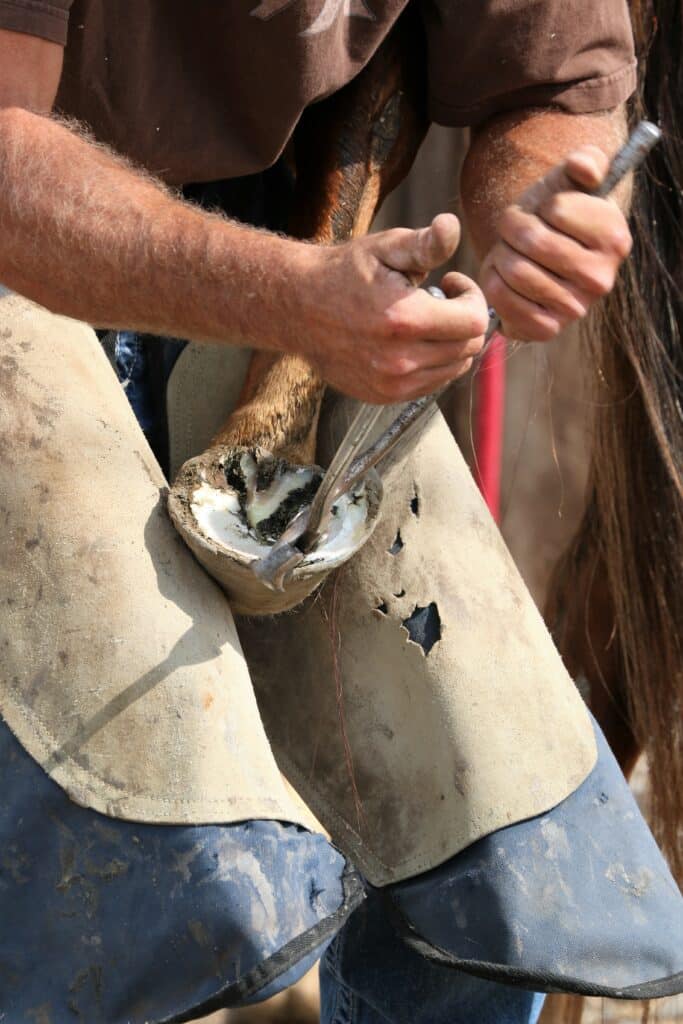 Maréchal-ferrant : Artisanat traditionnel et modernité - Métiers d'art, Métal - Artisanat d'art