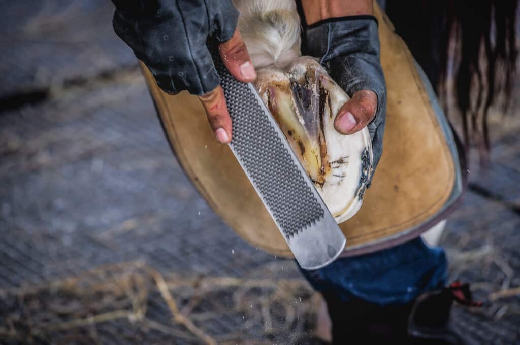 Maréchal-ferrant : Artisanat traditionnel et modernité - Métiers d'art, Métal - Artisanat d'art