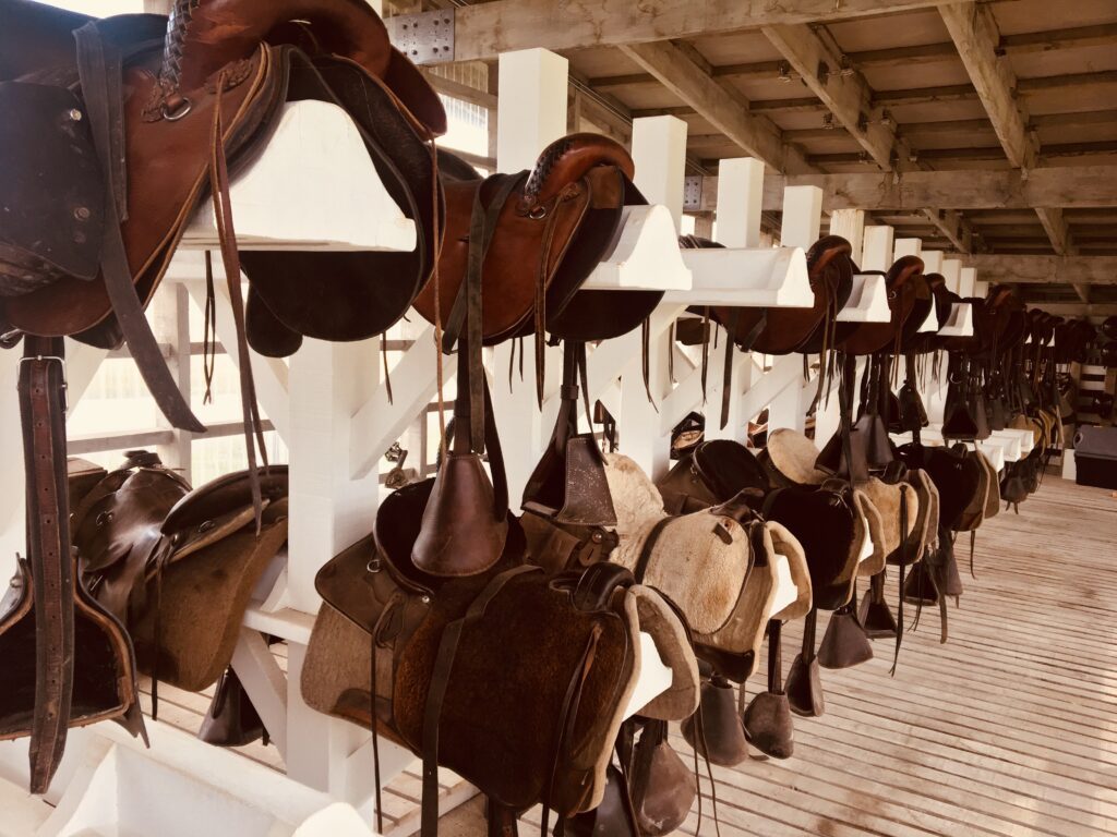 Sellier Harnacheur : Le Maître du Cuir au Service de l'Équitation et de l’Excellence Artisanale | Artisanat d'art