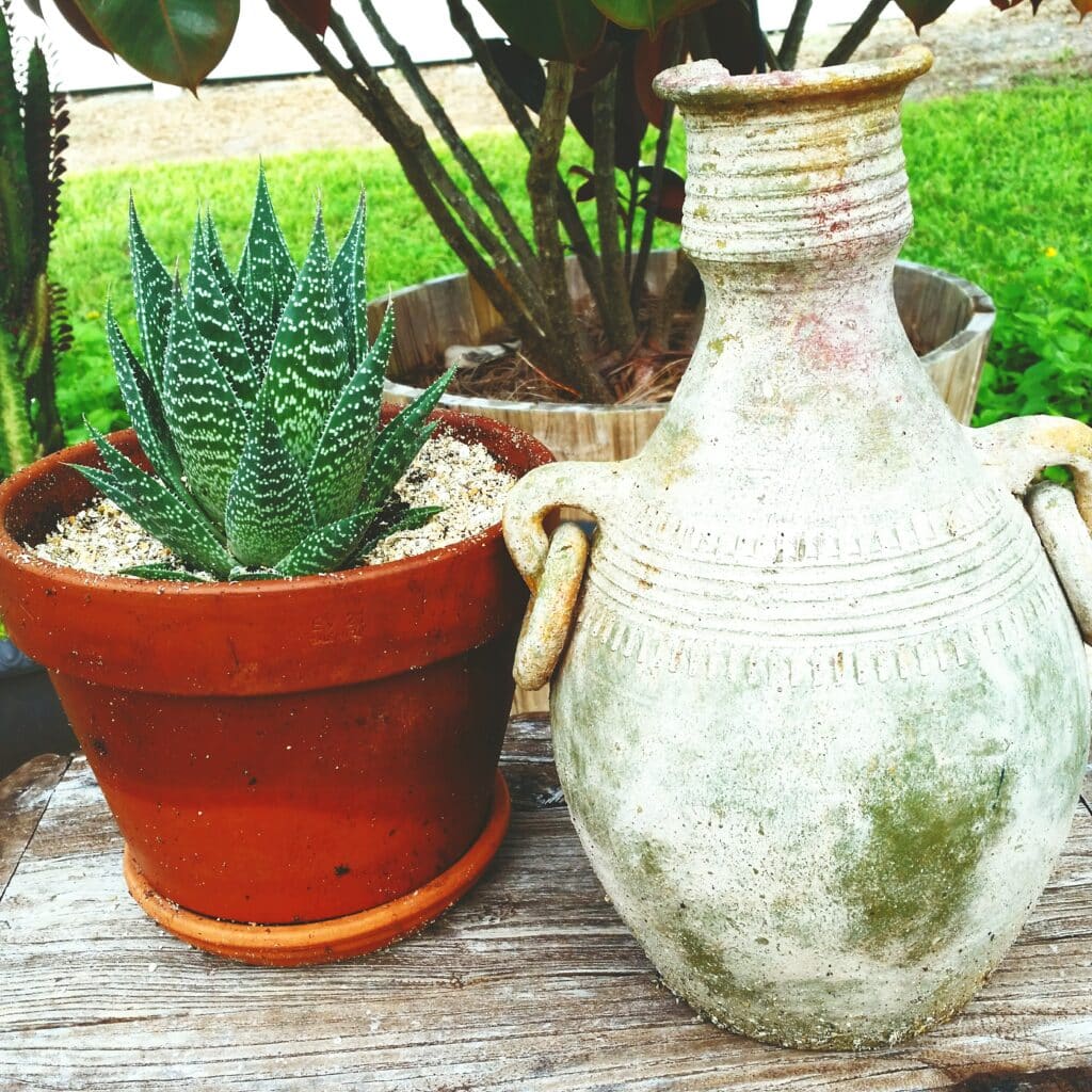 Comment nettoyer et entretenir un vase en terre cuite : guide complet et astuces pratiques | Artisanat d'art