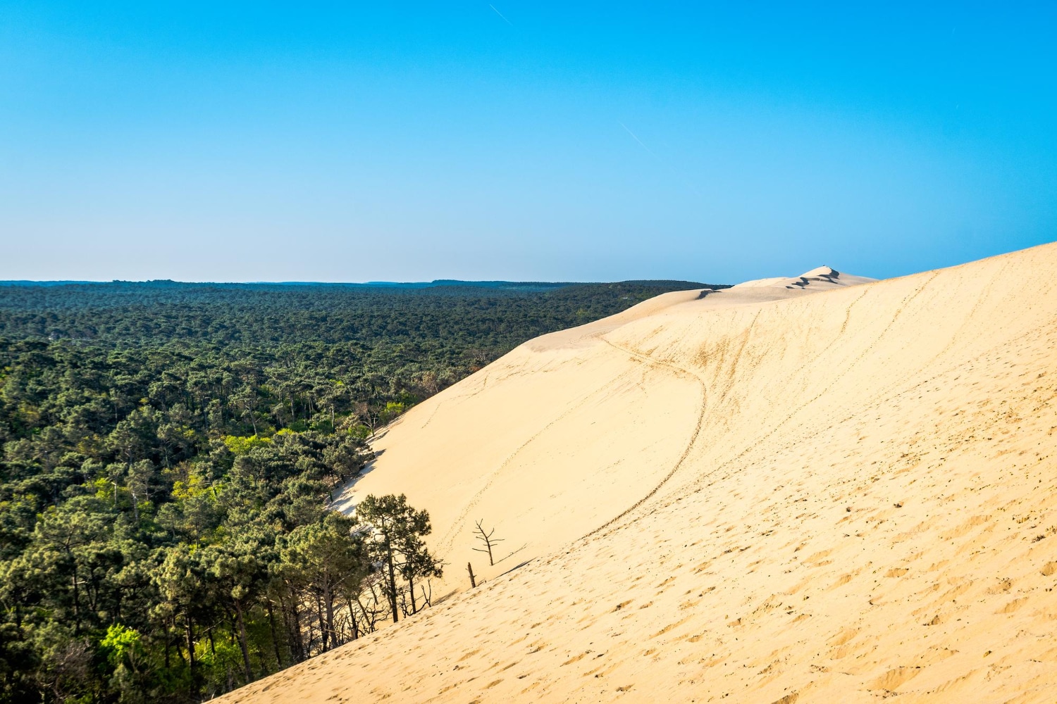Salon des Métiers d’Art et Artisanats du Bassin d’Arcachon 2026