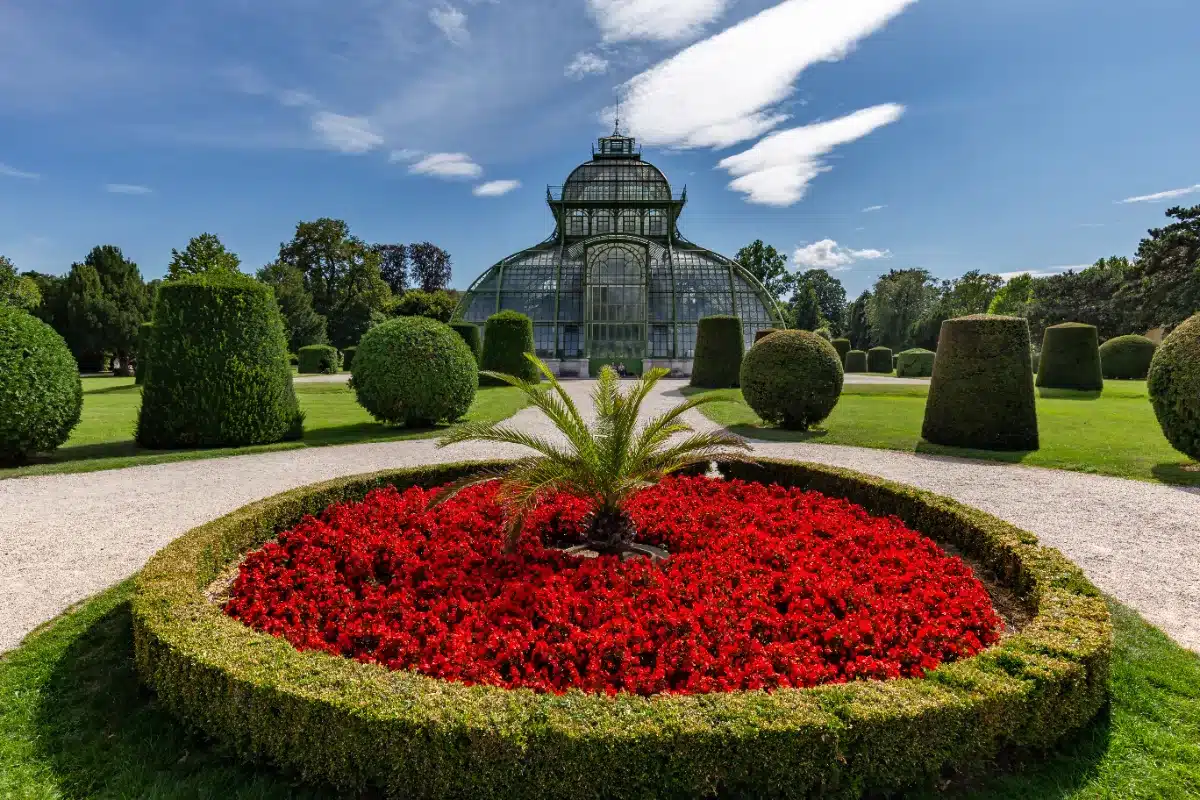 Jardin à la française devant un palais, parterres et allées