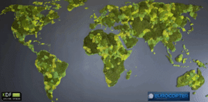 Christine NEPVEU Styliste végétale KDF - - Artisanat d'art