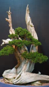 Christine NEPVEU Styliste végétale KDF - - Artisanat d'art