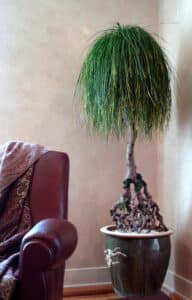 Christine NEPVEU Styliste végétale KDF - - Artisanat d'art