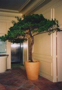 Christine NEPVEU Styliste végétale KDF - - Artisanat d'art