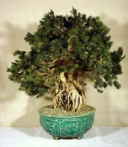 Christine NEPVEU Styliste végétale KDF - - Artisanat d'art