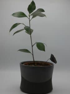 Atelier DomB - - Artisanat d'art